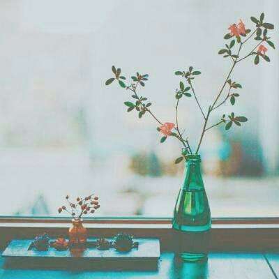 今天买什么特马