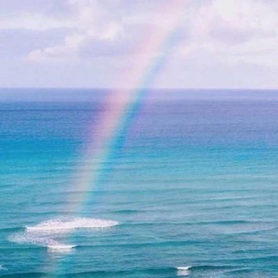 半岛网页版入口官网