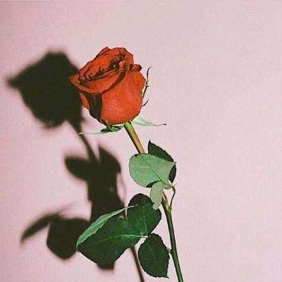 开元ky888网址进入下载