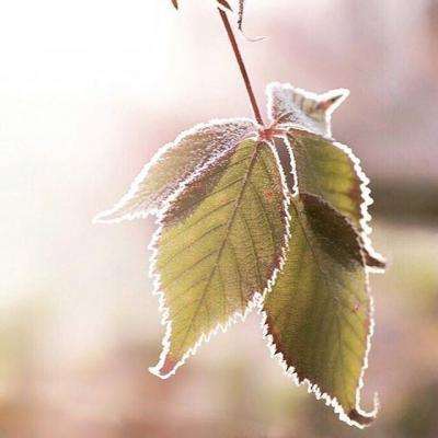 澳门新葡澳京下载手机版